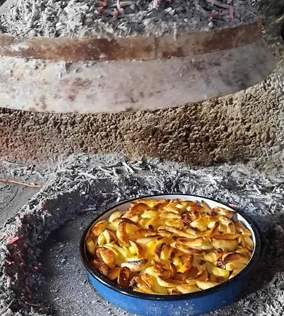 Apartment Dejan Skradin